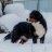 Степанида