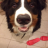 Floppi