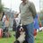 Харди