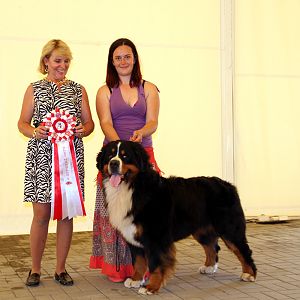 Зенненфест 2013: хендлинг от Bobbi Kinley-Blewett