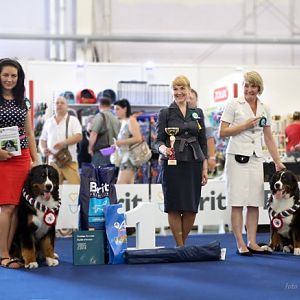 Kazan 29.07.2017 mono + CACIB