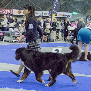 CAC: Tampere, Finland males, 24.11.2017