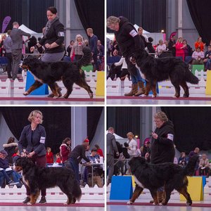 Eukanuba CACIB, Lahti, Finland - 25.03.2018