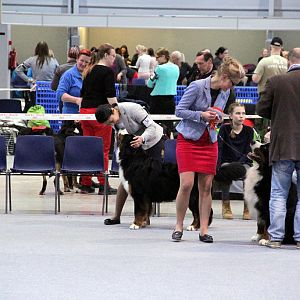 CACIB Lahti (Finland) классы кобелей