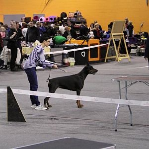 IMG_5573