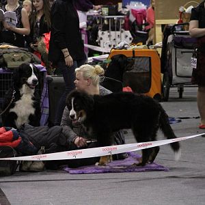 IMG_5577