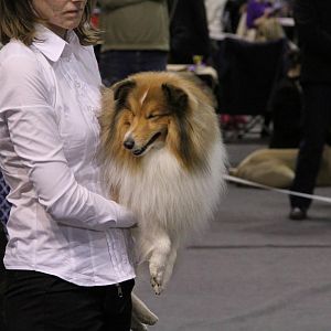 IMG_5580