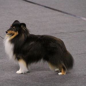 IMG_5585