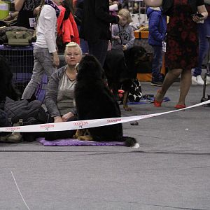 IMG_5586