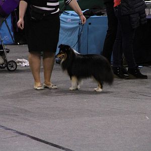 IMG_5587