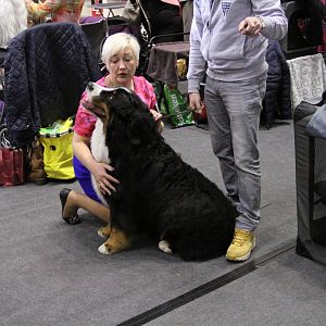 IMG_5598