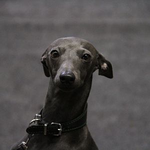 IMG_5603