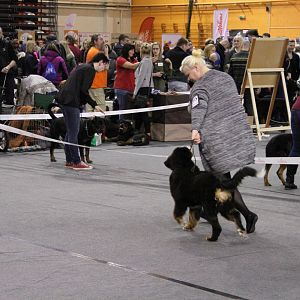 IMG_5635