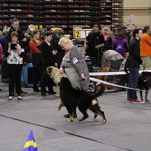 IMG_5637