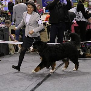 IMG_5680