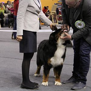 IMG_5701