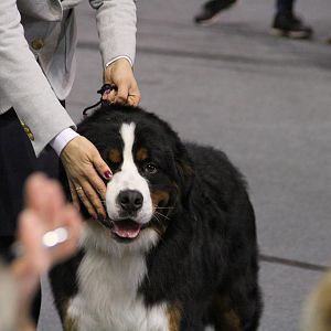 IMG_5707