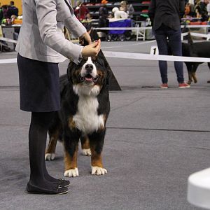 IMG_5715