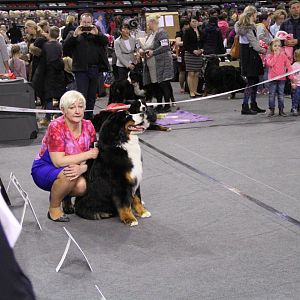 IMG_5748