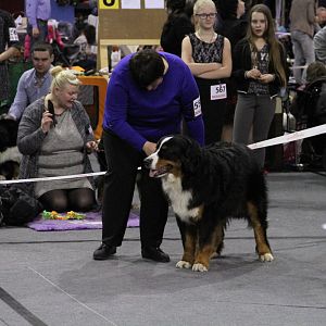 IMG_5760