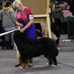 IMG_5762