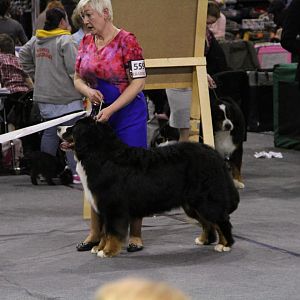 IMG_5763
