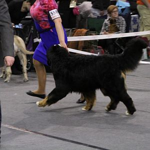 IMG_5767