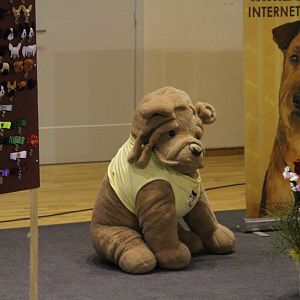 IMG_5777