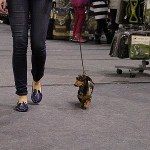 IMG_5779
