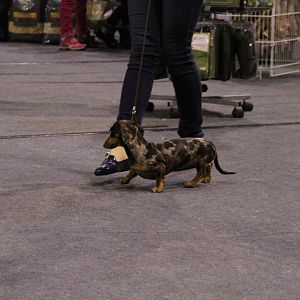 IMG_5783