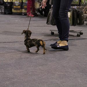 IMG_5784
