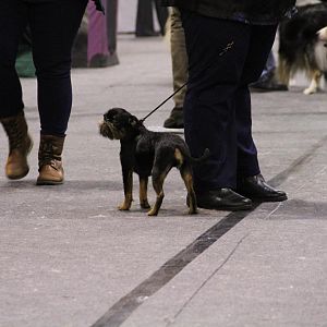 IMG_5799