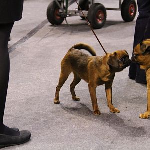 IMG_5802
