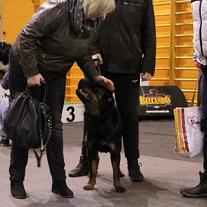 IMG_5815
