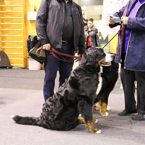 IMG_5830