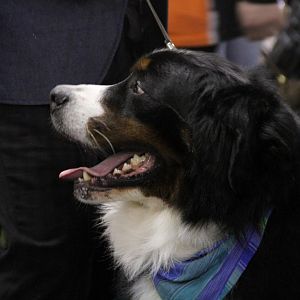 IMG_5860