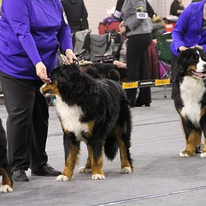 IMG_5916