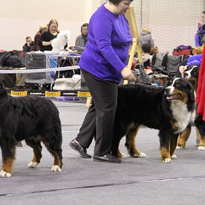 IMG_5938