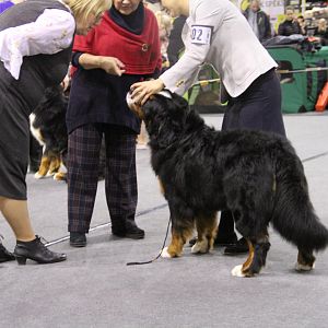 IMG_5950