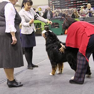 IMG_5952