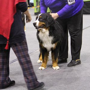 IMG_5977