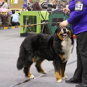 IMG_5995