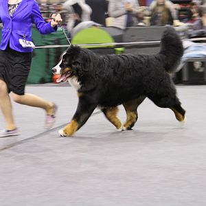 IMG_6004