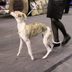 IMG_6077