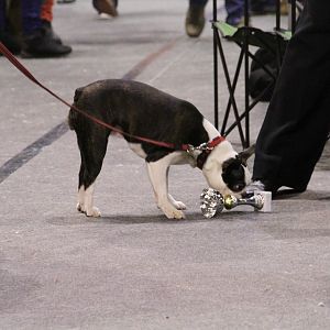 IMG_6082