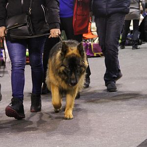 IMG_6092