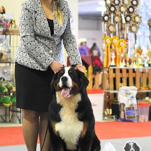 DSC_8358