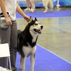 IMG_7898