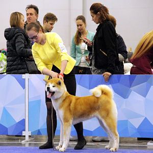 IMG_8065