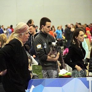 IMG_8127